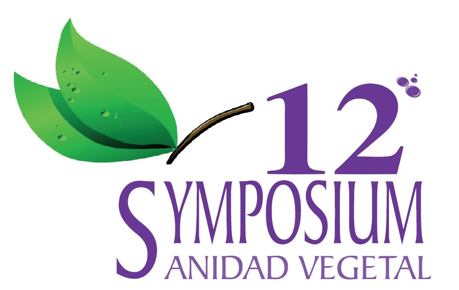 12-Symposium